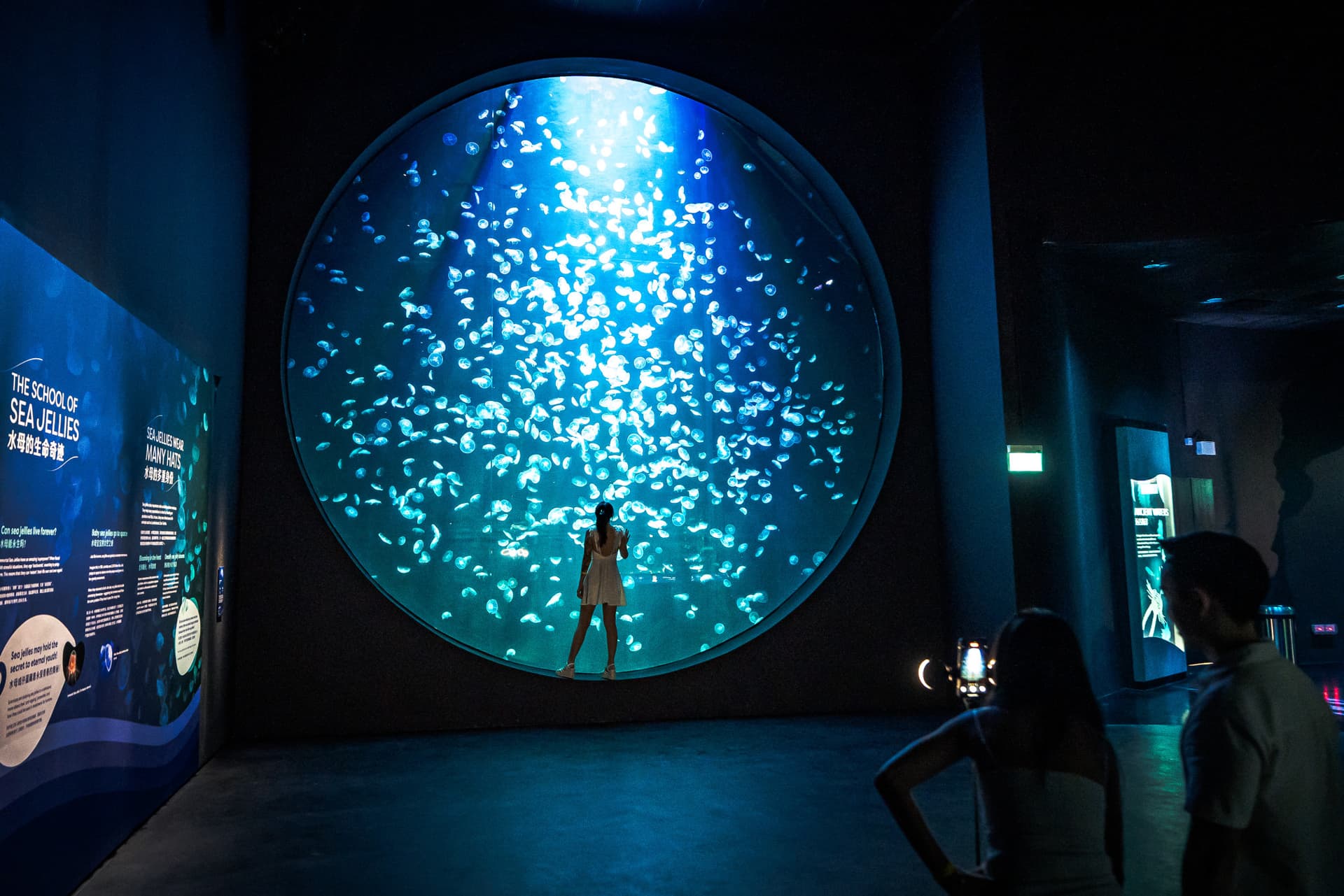 COMBO: Singapore Oceanarium + Gardens by the Bay Ticket - تصویر اصلی
