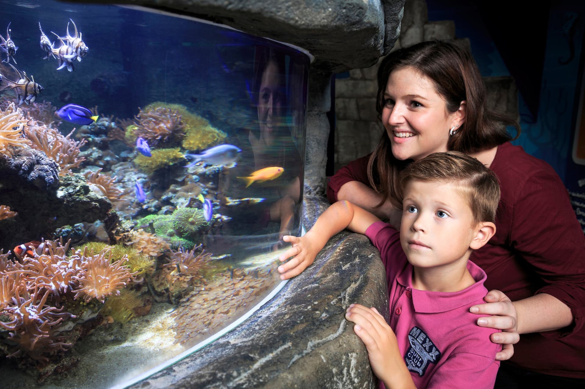 SEA LIFE Timmendorfer Strand Aquarium Ticket - تصویر 3