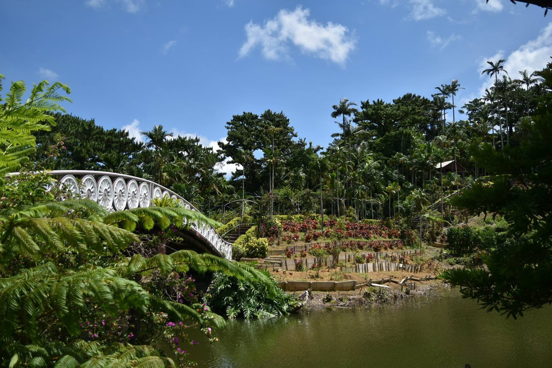 Okinawa Southeast Botanical Gardens - تصویر 37