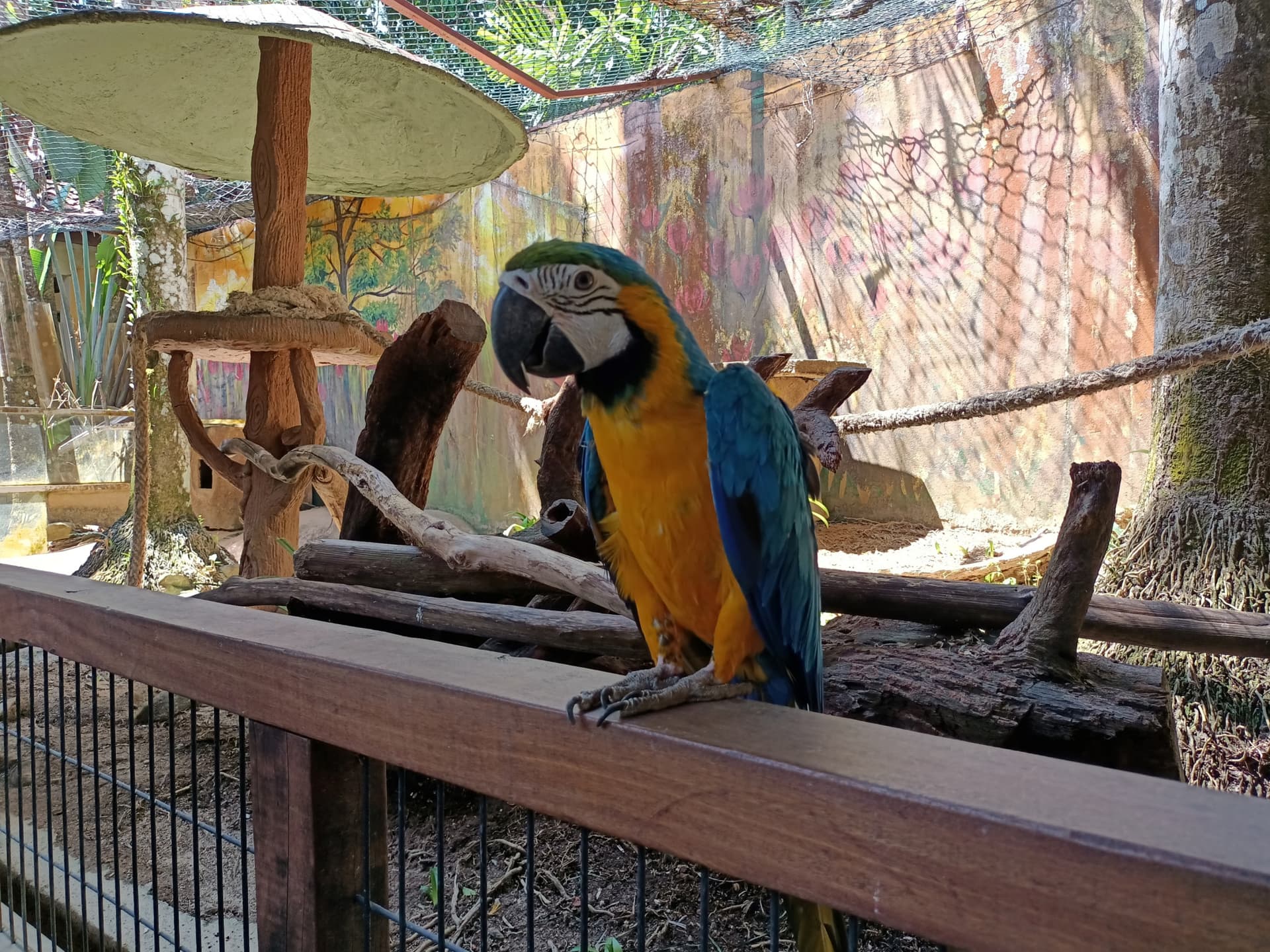 Langkawi Wildlife Park - تصویر 7