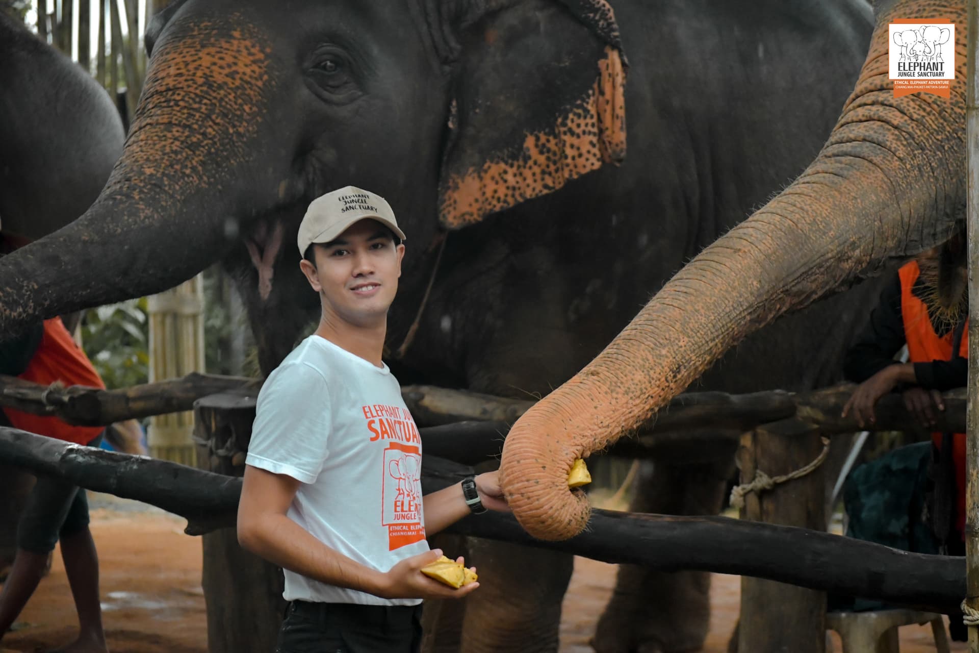 Elephant Jungle Sanctuary Phuket - تصویر 13