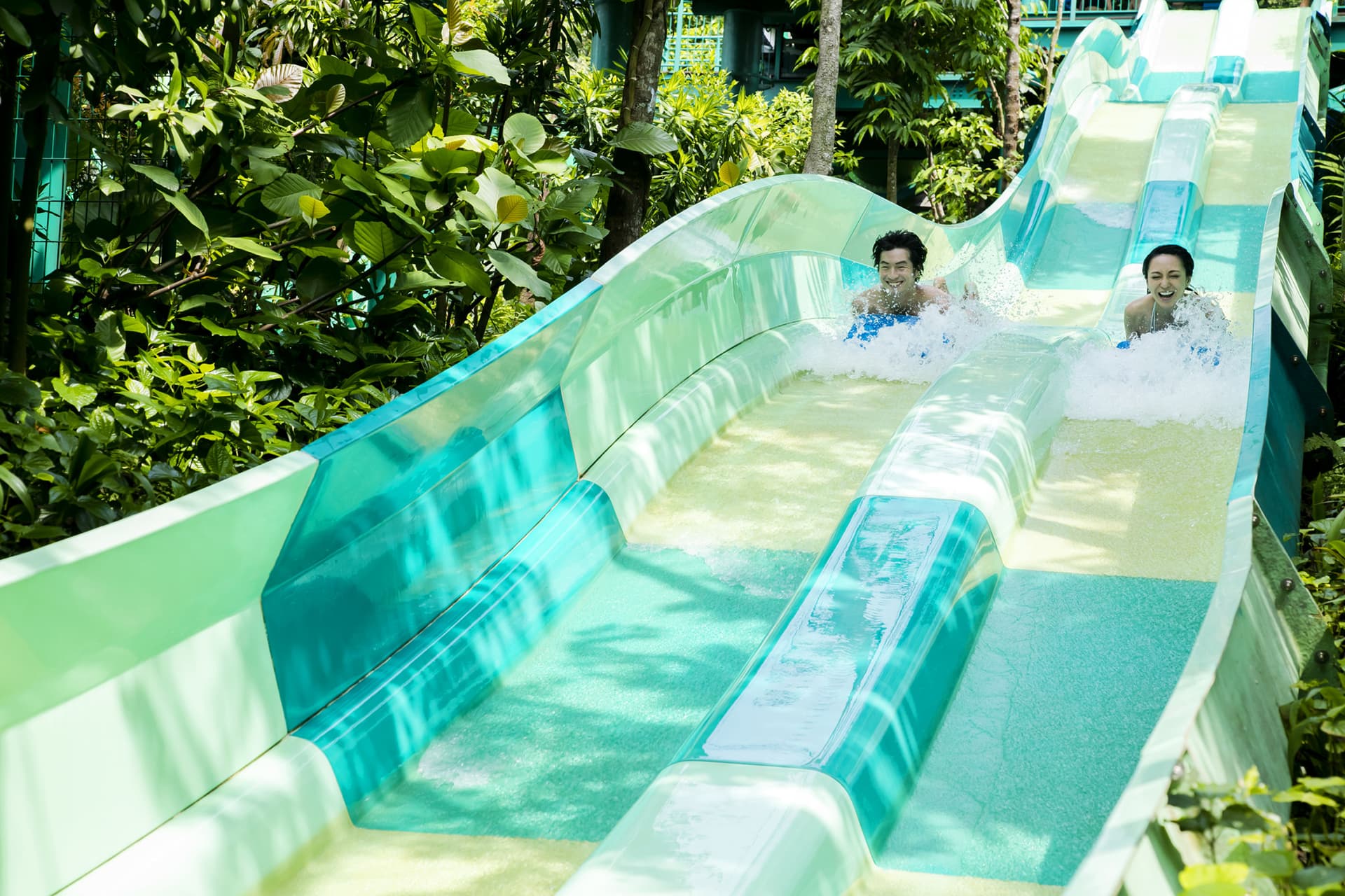 Adventure Cove Waterpark‎ Express Pass - تصویر 7