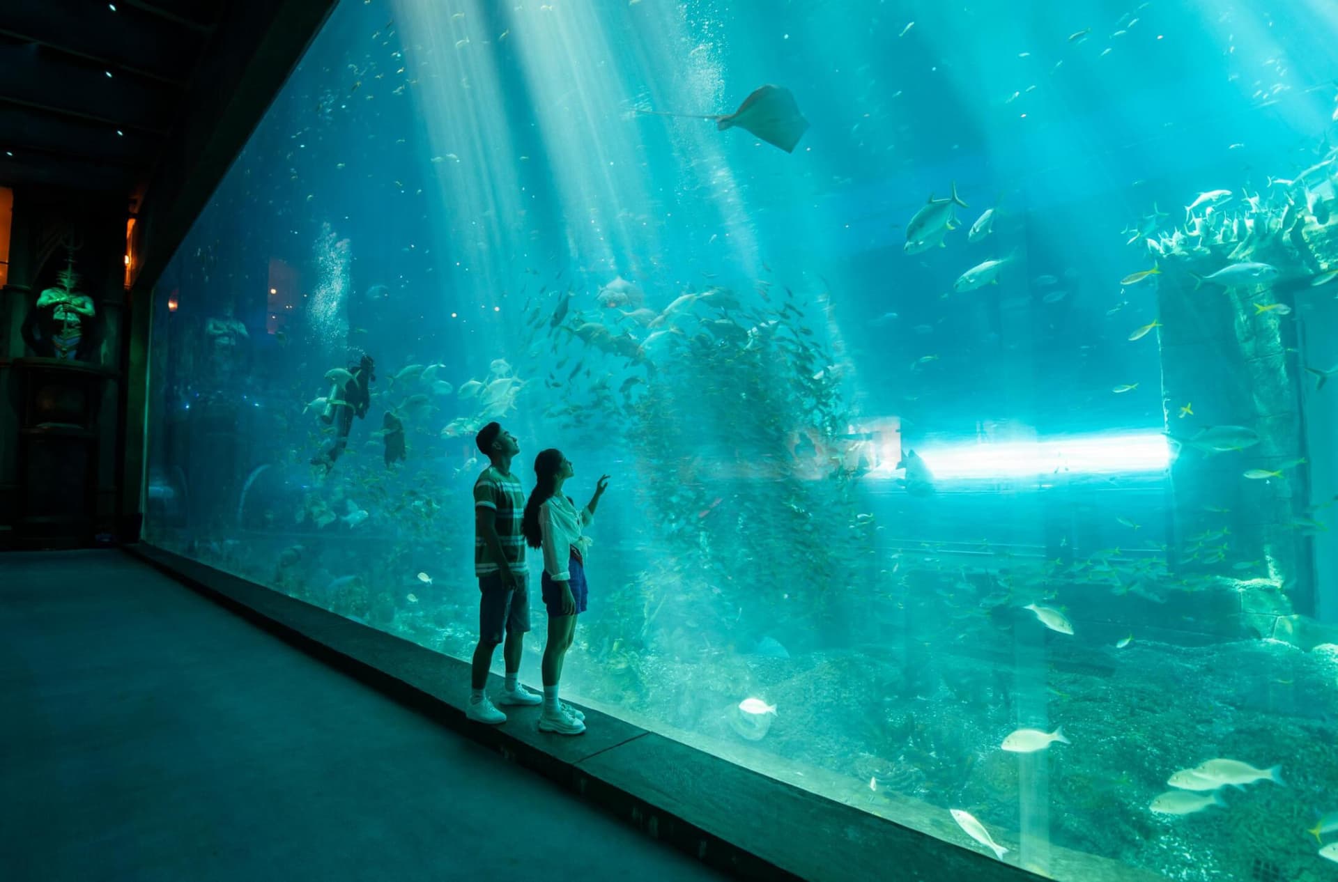 VinWonders Phu Quoc Amusement Park Ticket - تصویر 14