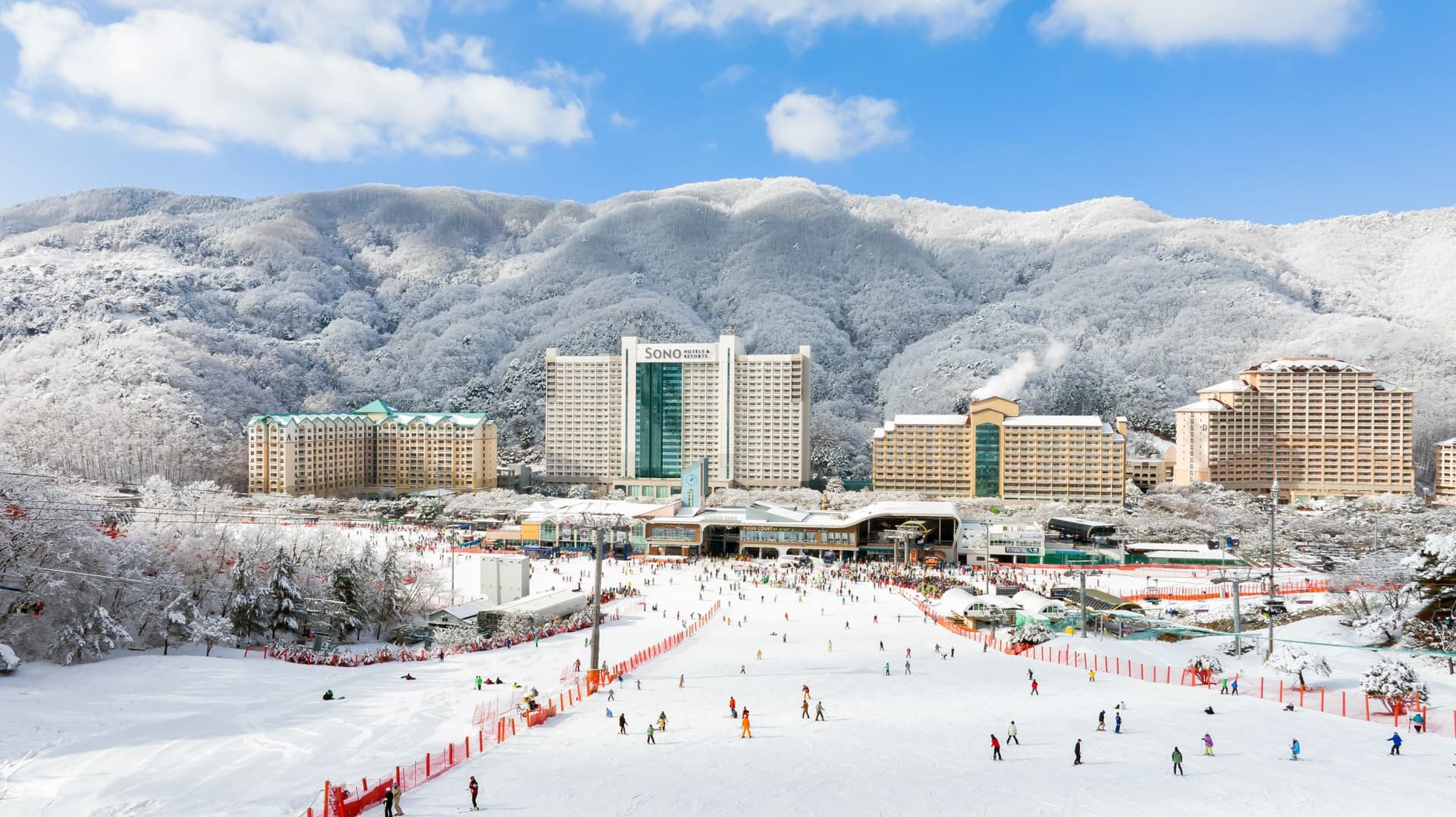 Vivaldi Park Winter Ski and Eobi Ice Valley Day Tour from Seoul - تصویر 4