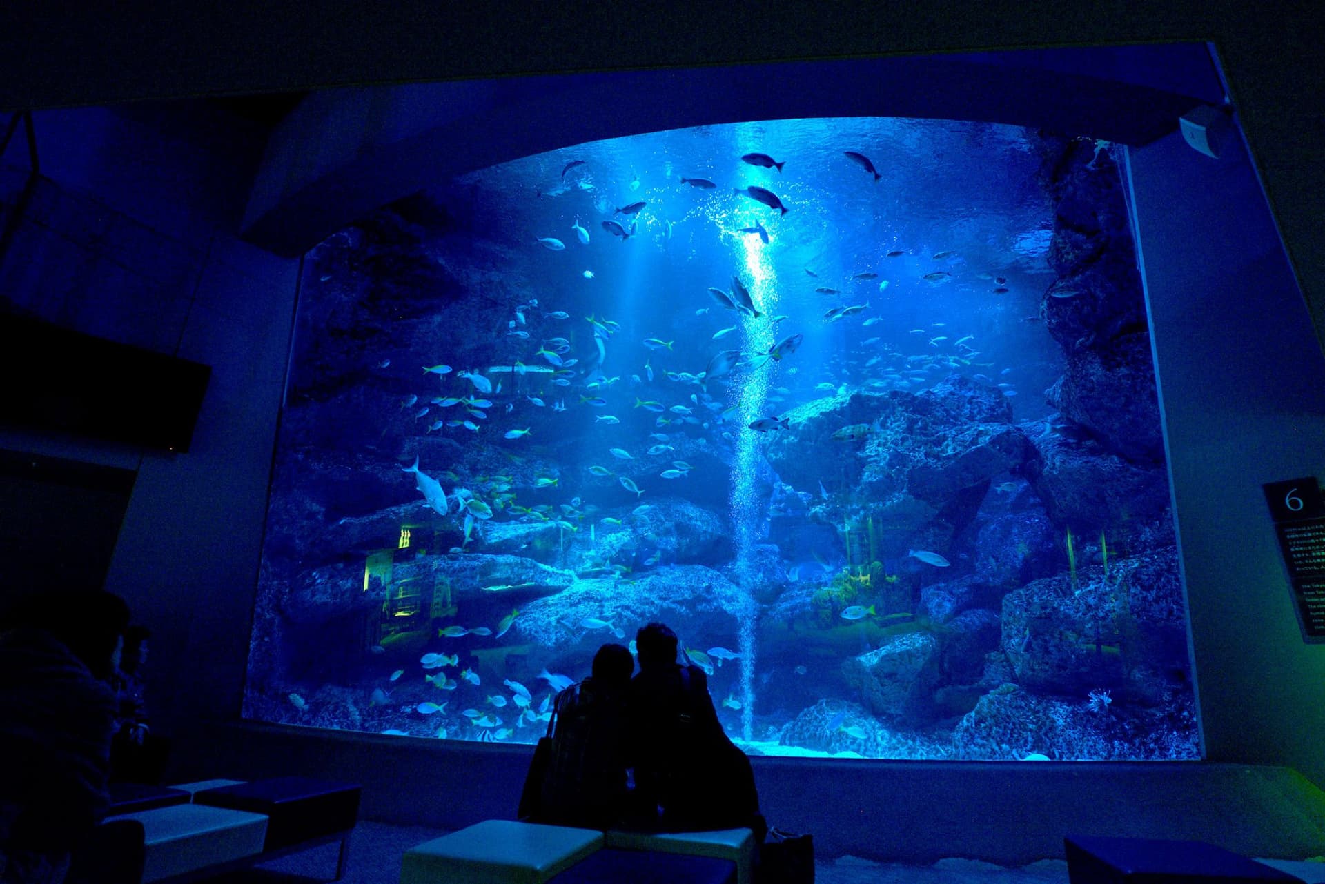 Sumida Aquarium Ticket - تصویر 6