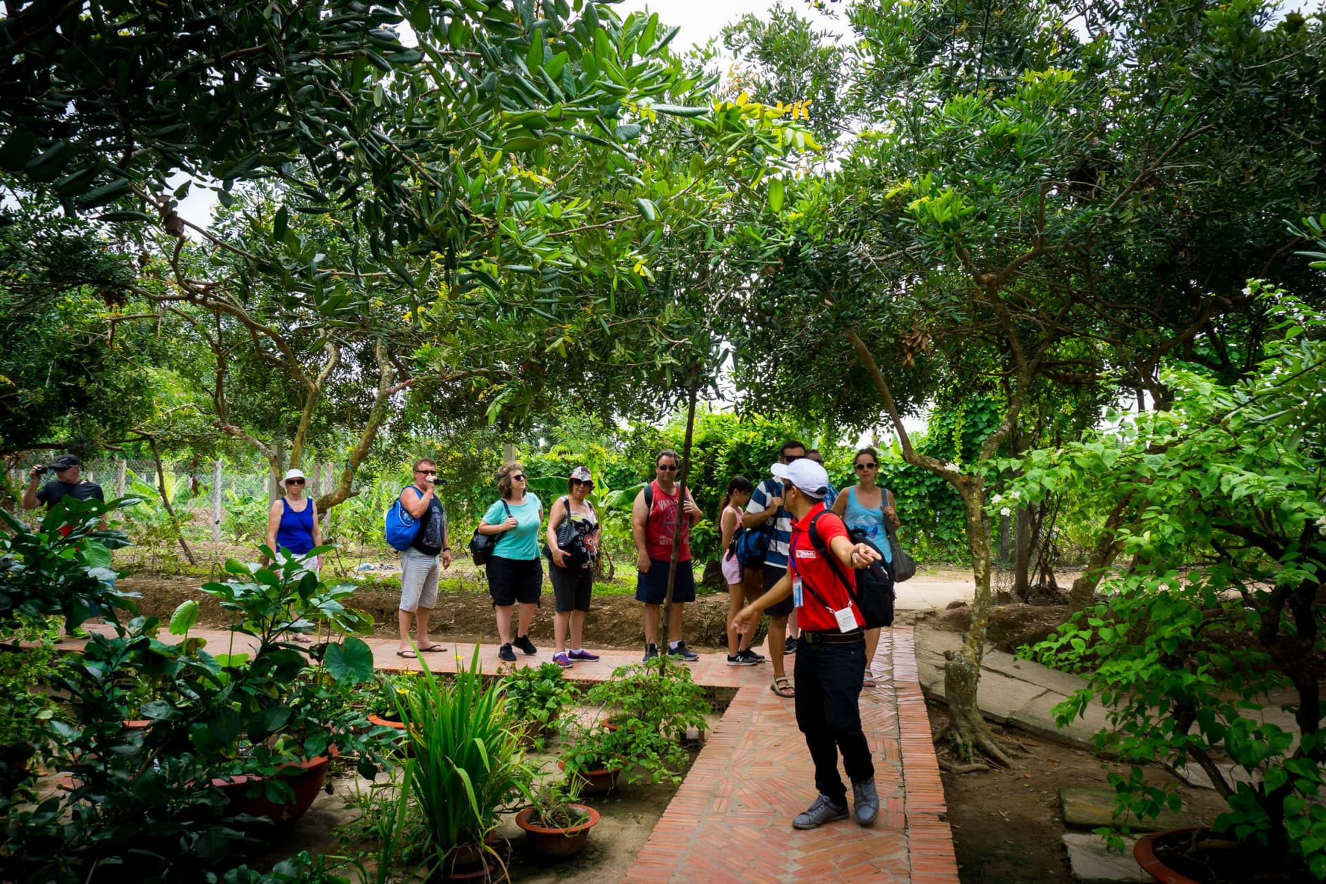 Mekong Delta Full-Day Tour from Ho Chi Minh City - تصویر 6