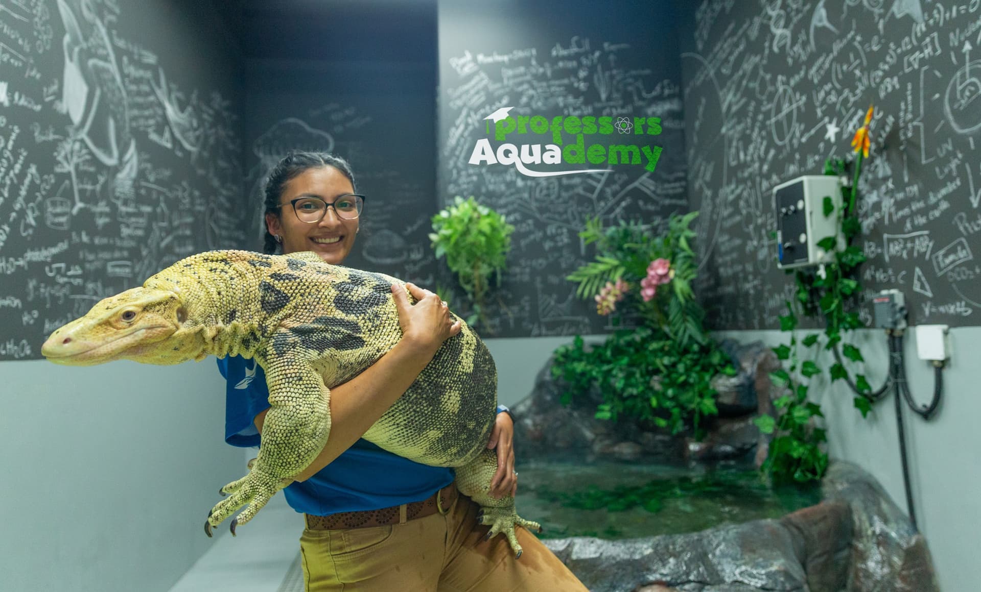 COMBO: The National Aquarium + Louvre Abu Dhabi Tickets - تصویر 4