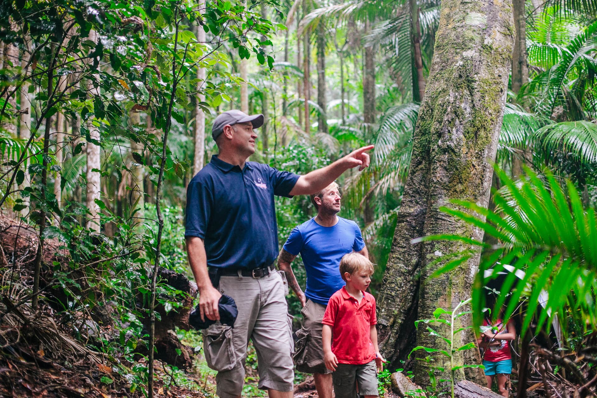 Tamborine Mountain Guided Walk and Wine Tasting Tour - تصویر 2
