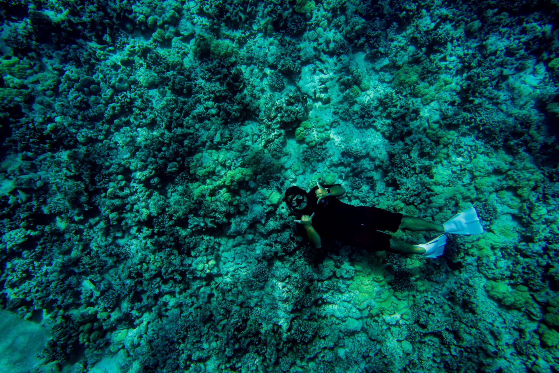 Kona Super-Raft Tours by Body Glove Cruises - تصویر اصلی
