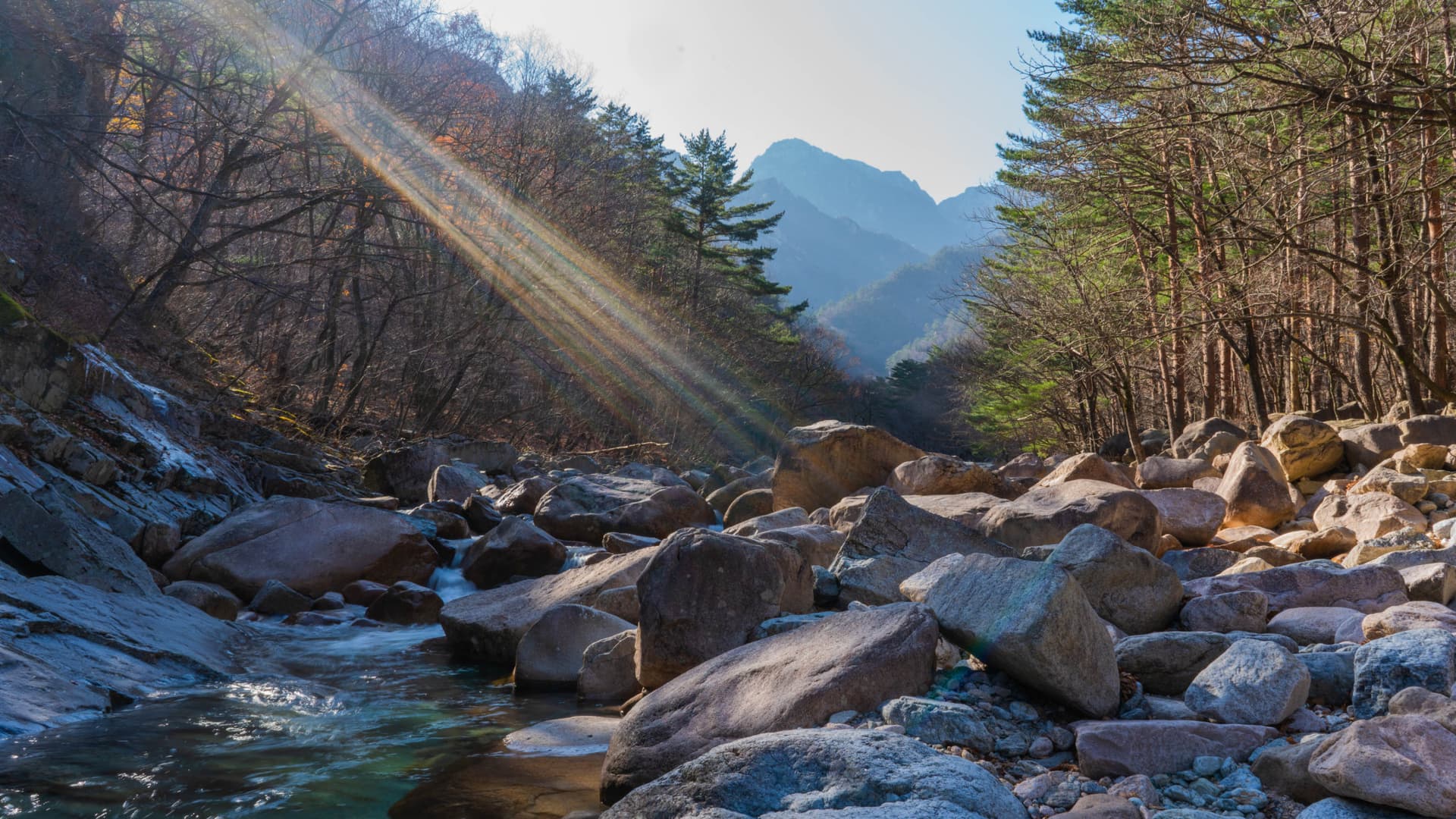 Mount Seorak and Naksansa Temple Tour from Seoul - تصویر 2