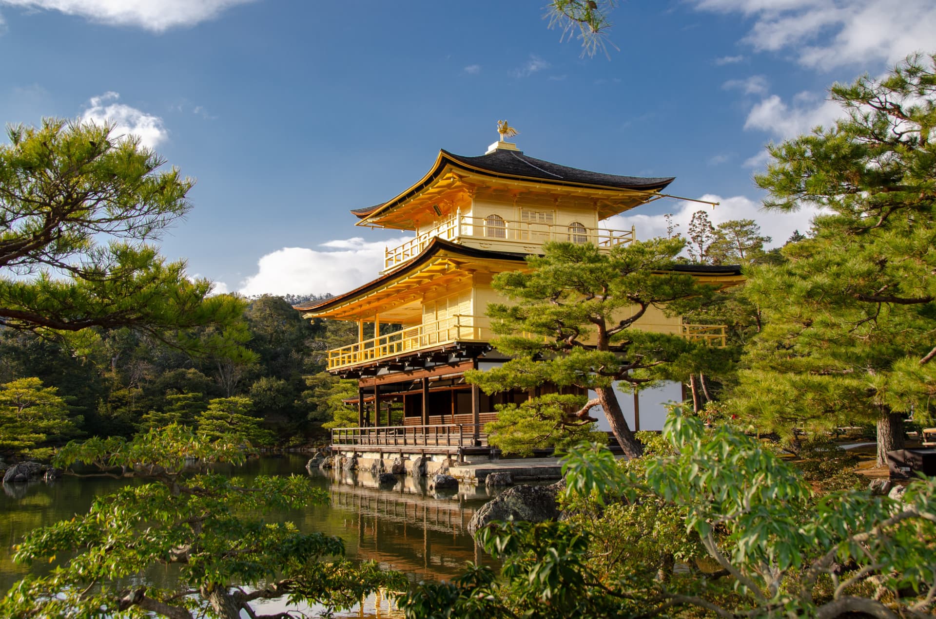 Kyoto and Nara Full-Day Tour from Kyoto - تصویر 2