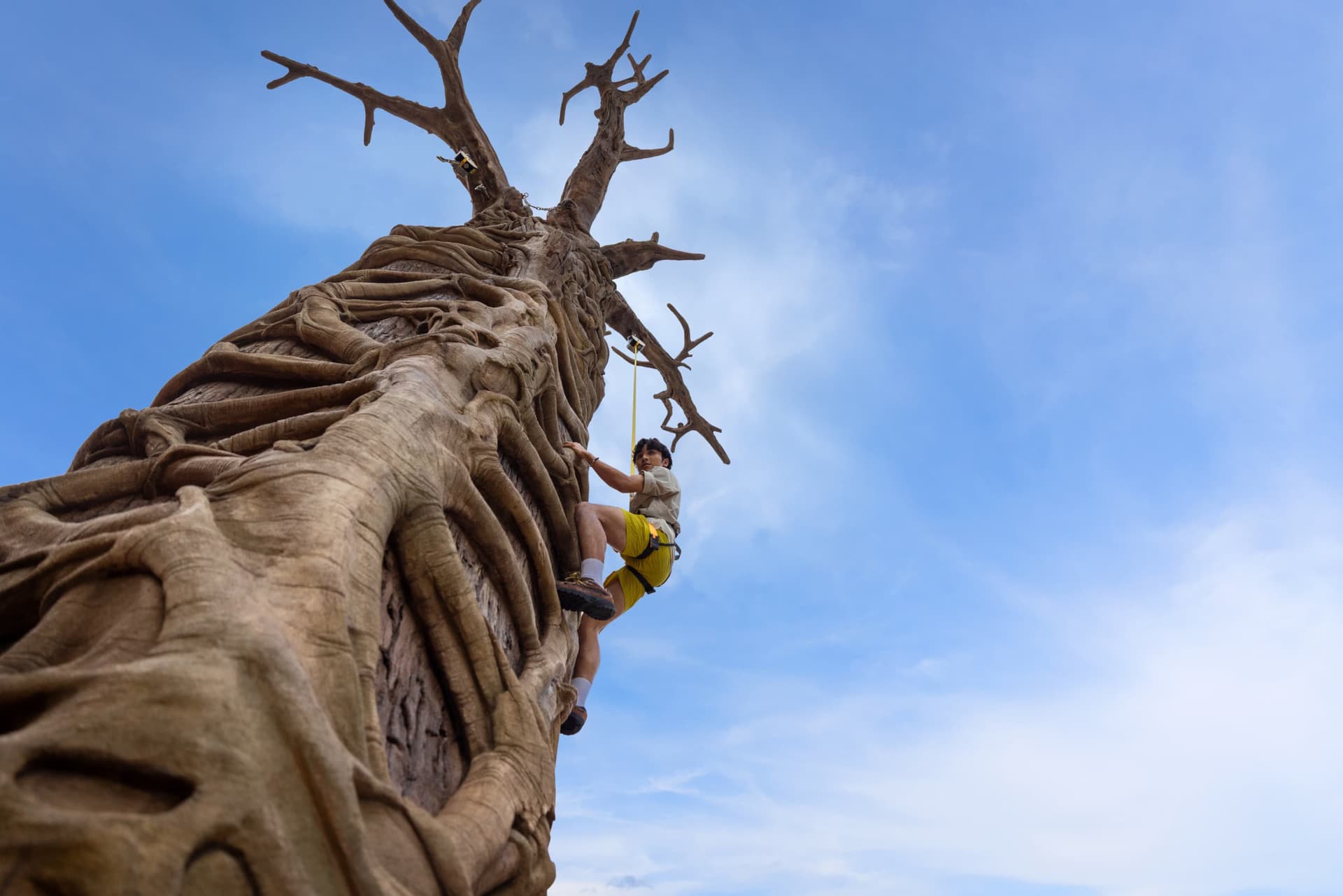 Rainforest Wild Adventure Ticket - تصویر 8