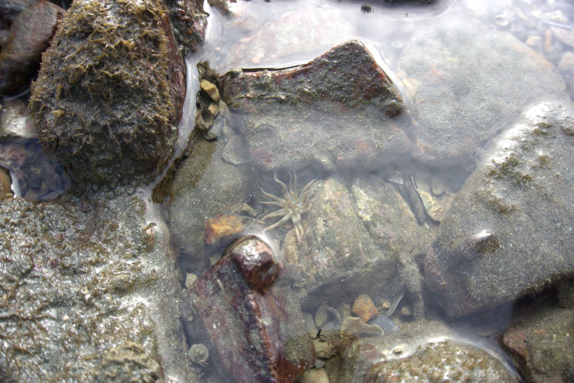 Desaru Beach and Tide Pool Walk - تصویر 33