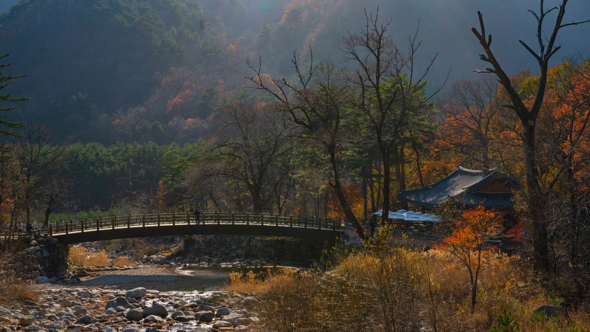 Mount Seorak and Naksansa Temple Tour from Seoul - تصویر اصلی
