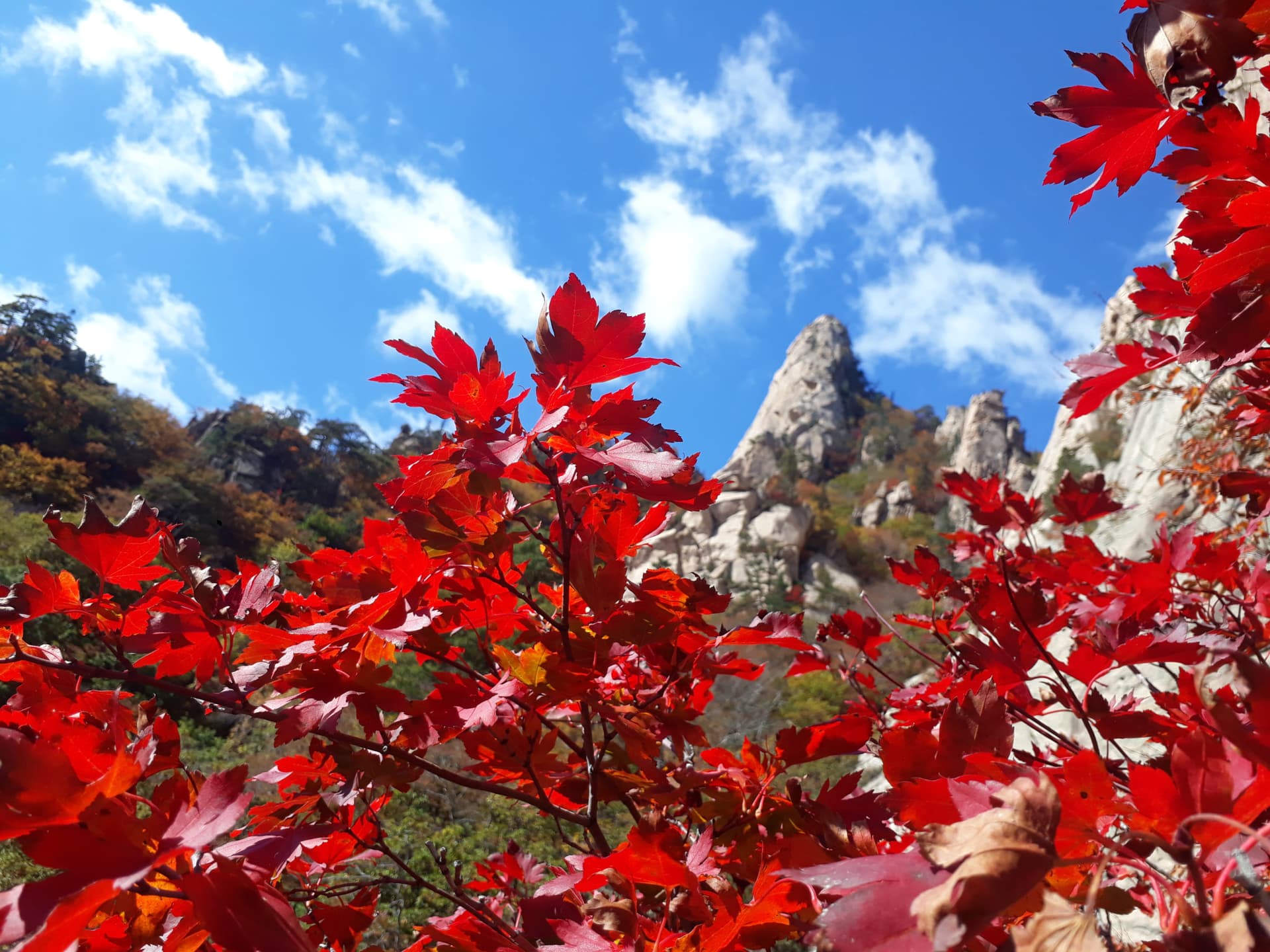 Nami Island and Mount Seorak Full-Day Tour from Seoul - تصویر 4