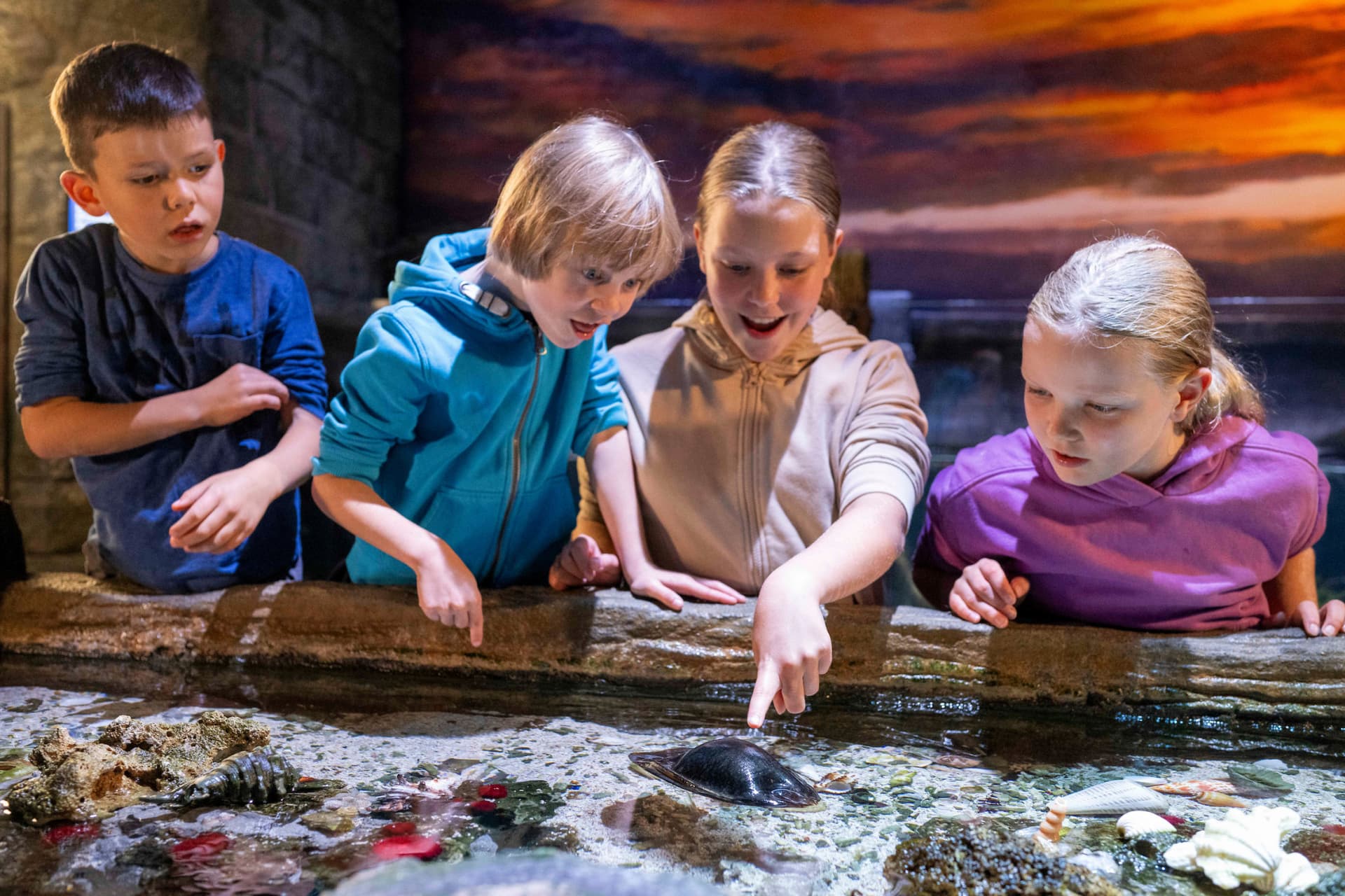 SEA LIFE Munich Aquarium Ticket - تصویر اصلی