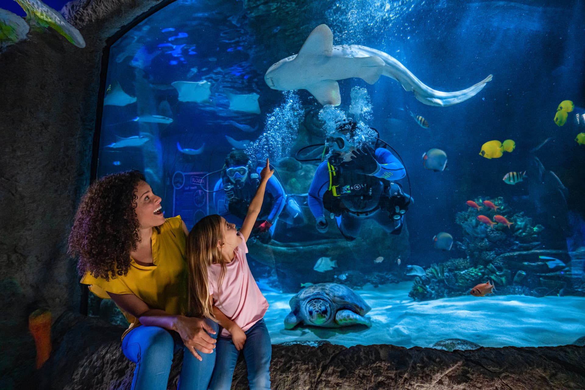 COMBO: Madame Tussauds Orlando + SEA LIFE Orlando Aquarium Ticket - تصویر 13