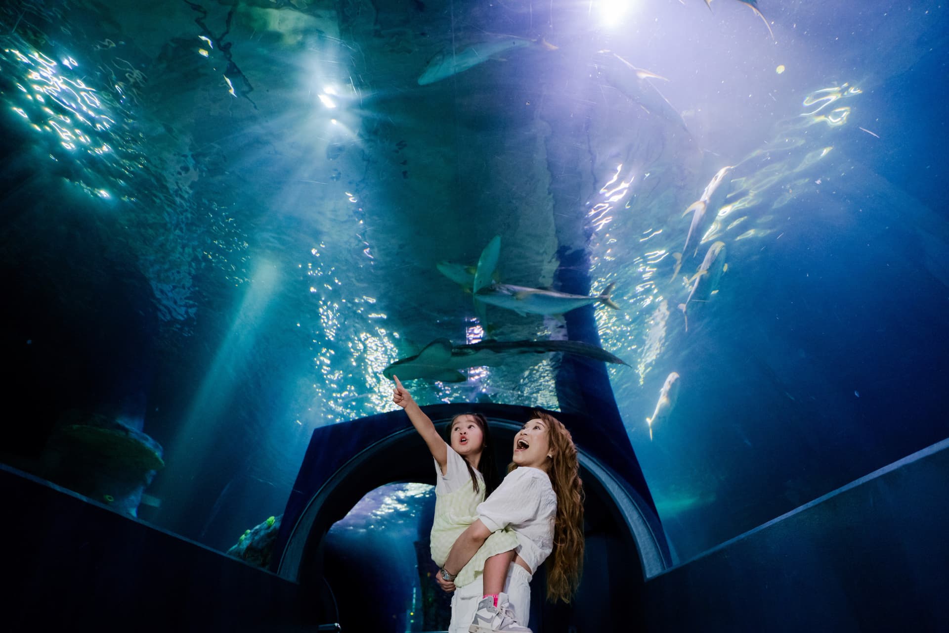 SEA LIFE Melbourne Aquarium Direct Entry Ticket - تصویر اصلی
