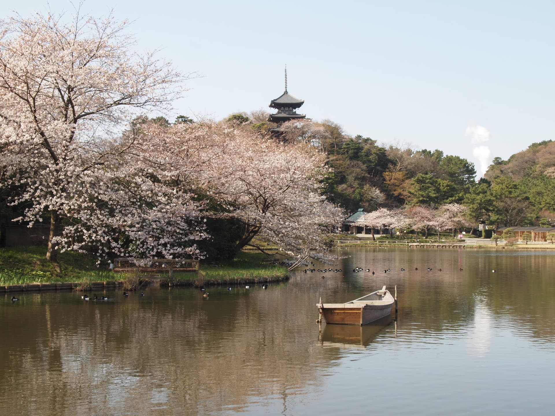 Sankeien Garden Ticket - تصویر 8
