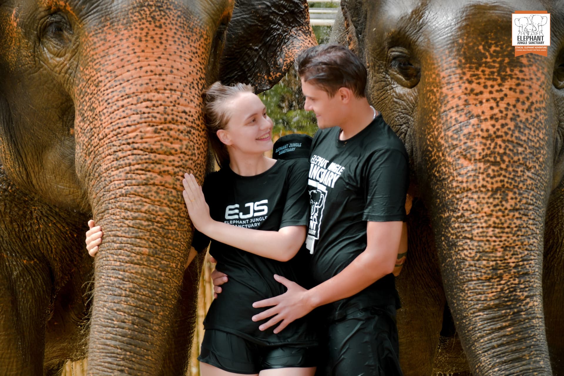Elephant Jungle Sanctuary Phuket - تصویر 21