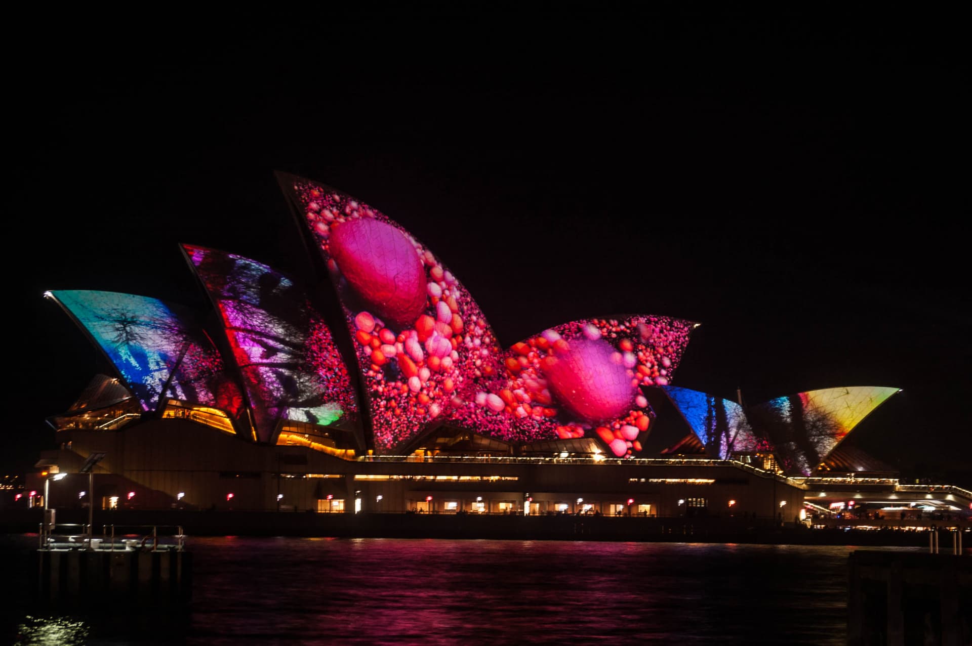 Vivid Festival of Light and Sound Cruise with Buffet Dinner aboard Sydney Princess Cruises - تصویر 6