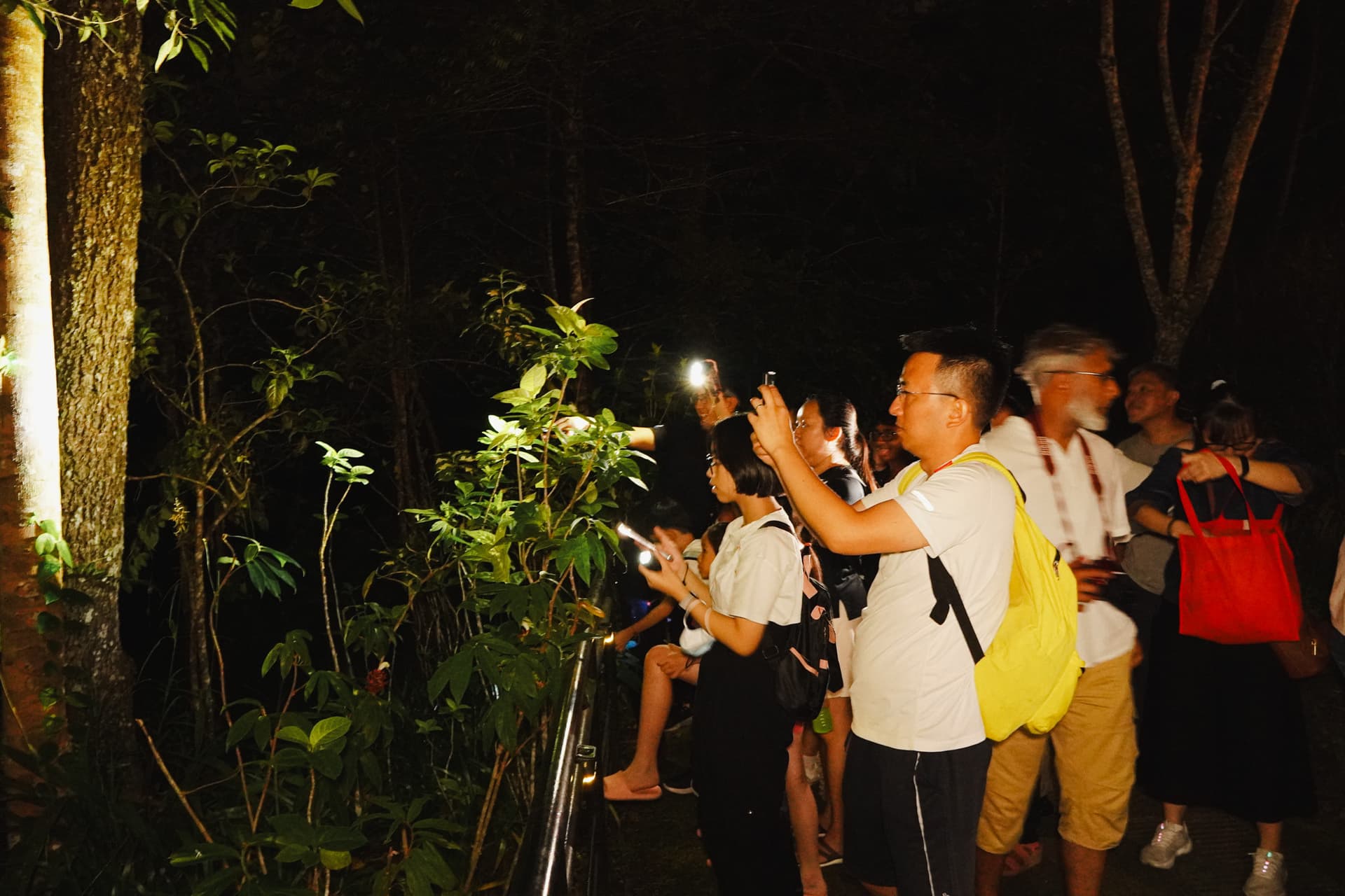The Habitat Penang Hill Ticket - تصویر 28