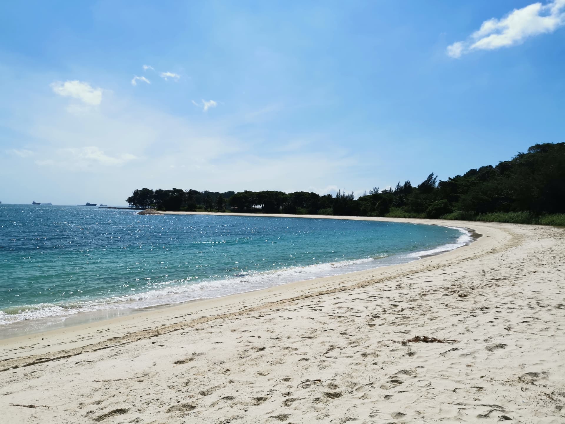 Singapore Island Cruise - St. John's Island, Lazarus Island, and Kusu Island by Ferry - تصویر 8