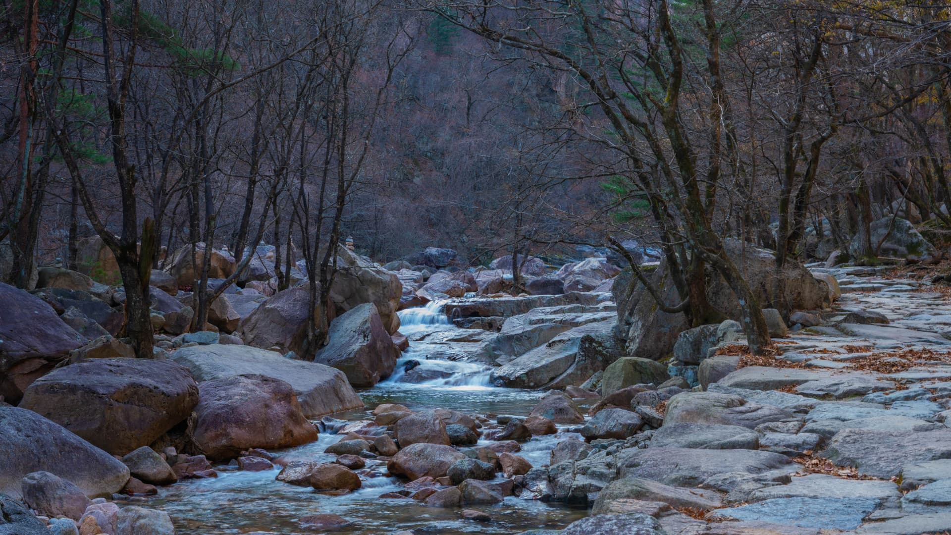 Mount Seorak and Naksansa Temple Tour from Seoul - تصویر 10
