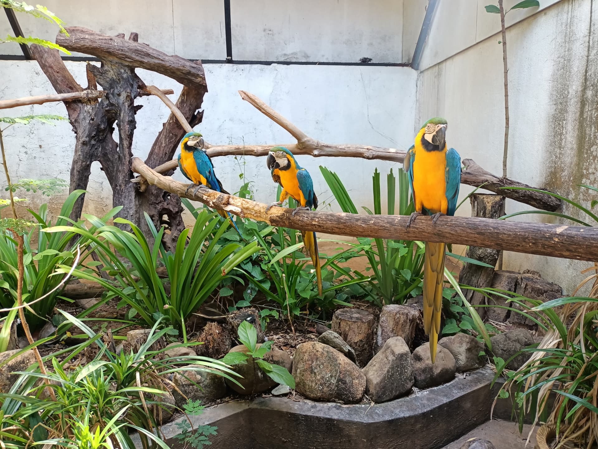 Langkawi Wildlife Park - تصویر 20