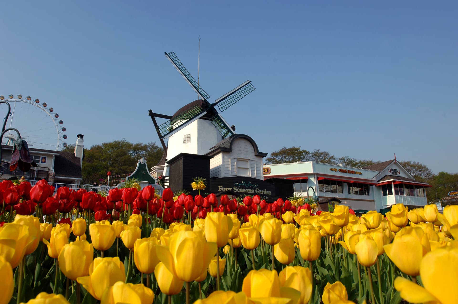 Everland Theme Park Ticket - تصویر 11