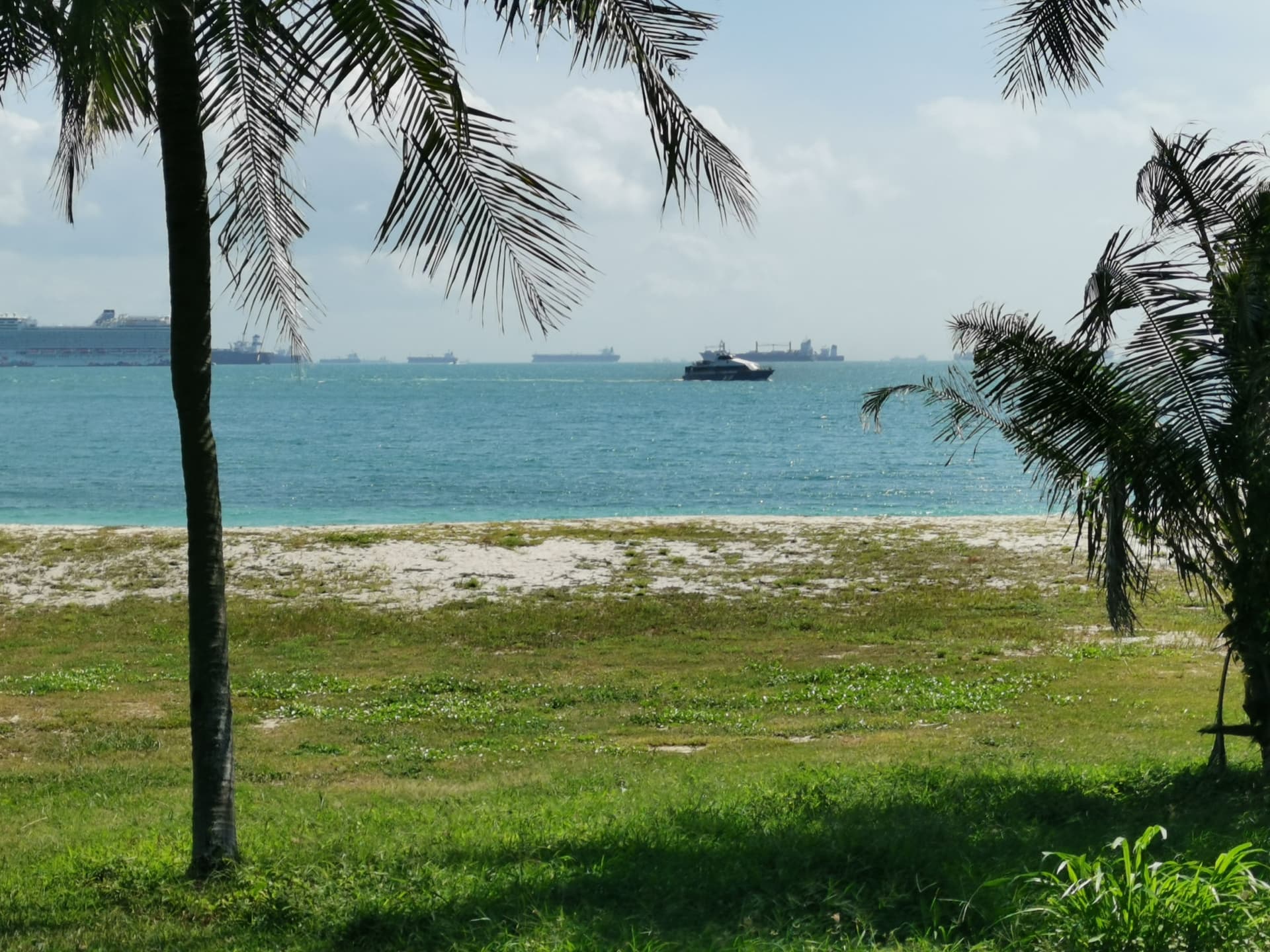Singapore Island Cruise - St. John's Island, Lazarus Island, and Kusu Island by Ferry - تصویر 9