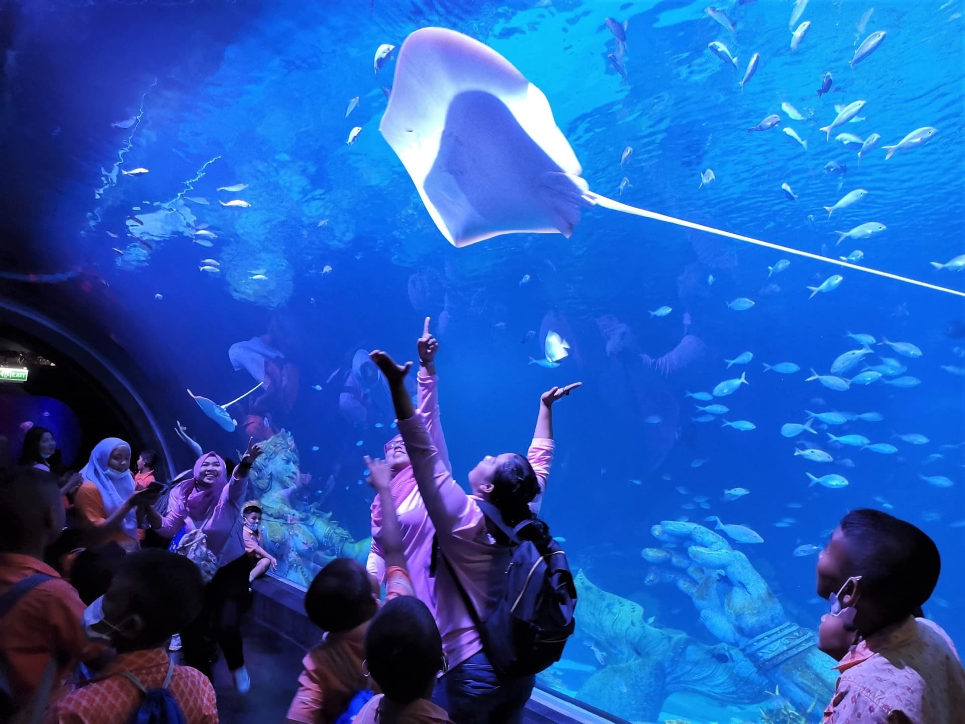 Aquaria Phuket - تصویر 5
