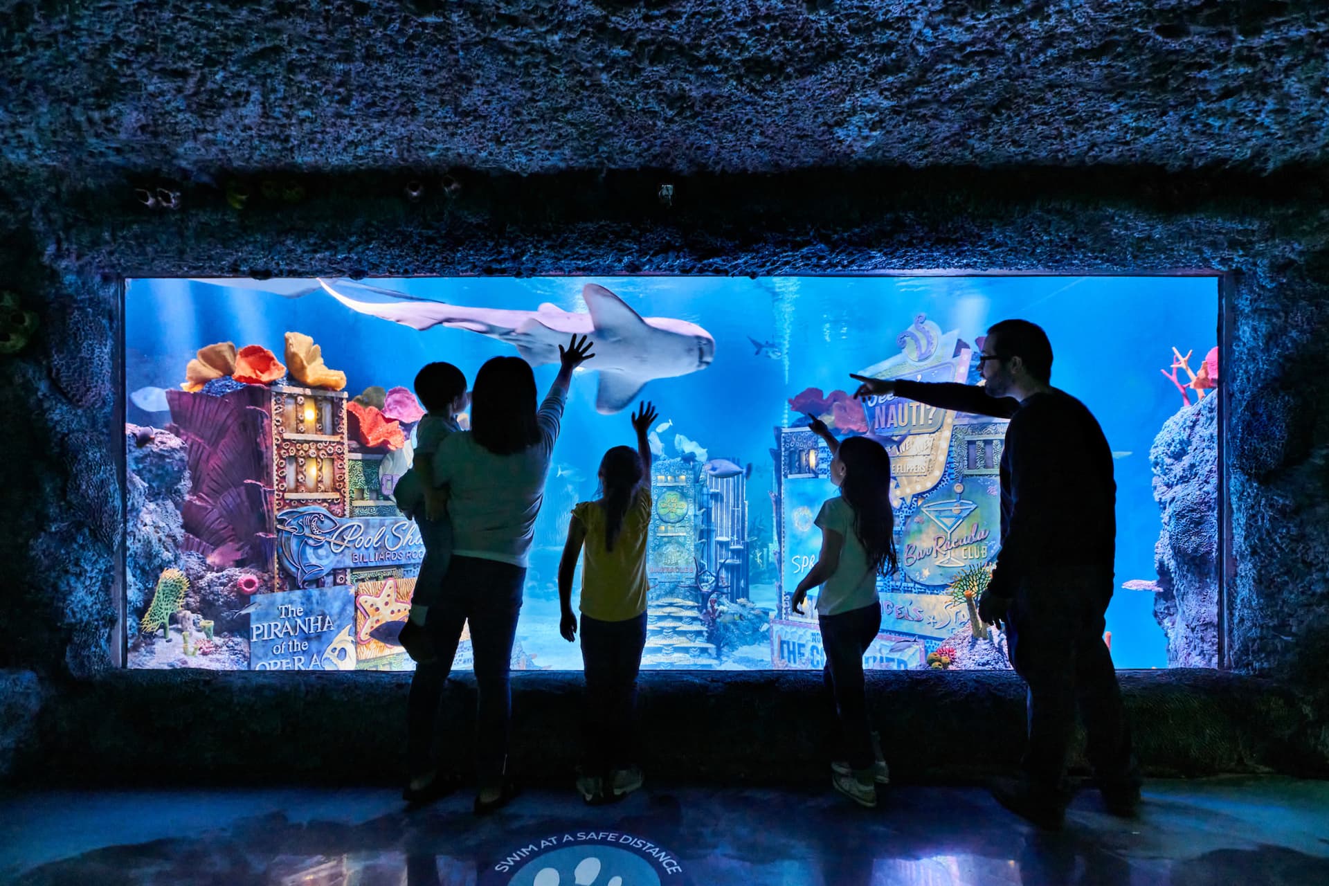 SEA LIFE New Jersey Aquarium Ticket - تصویر 2