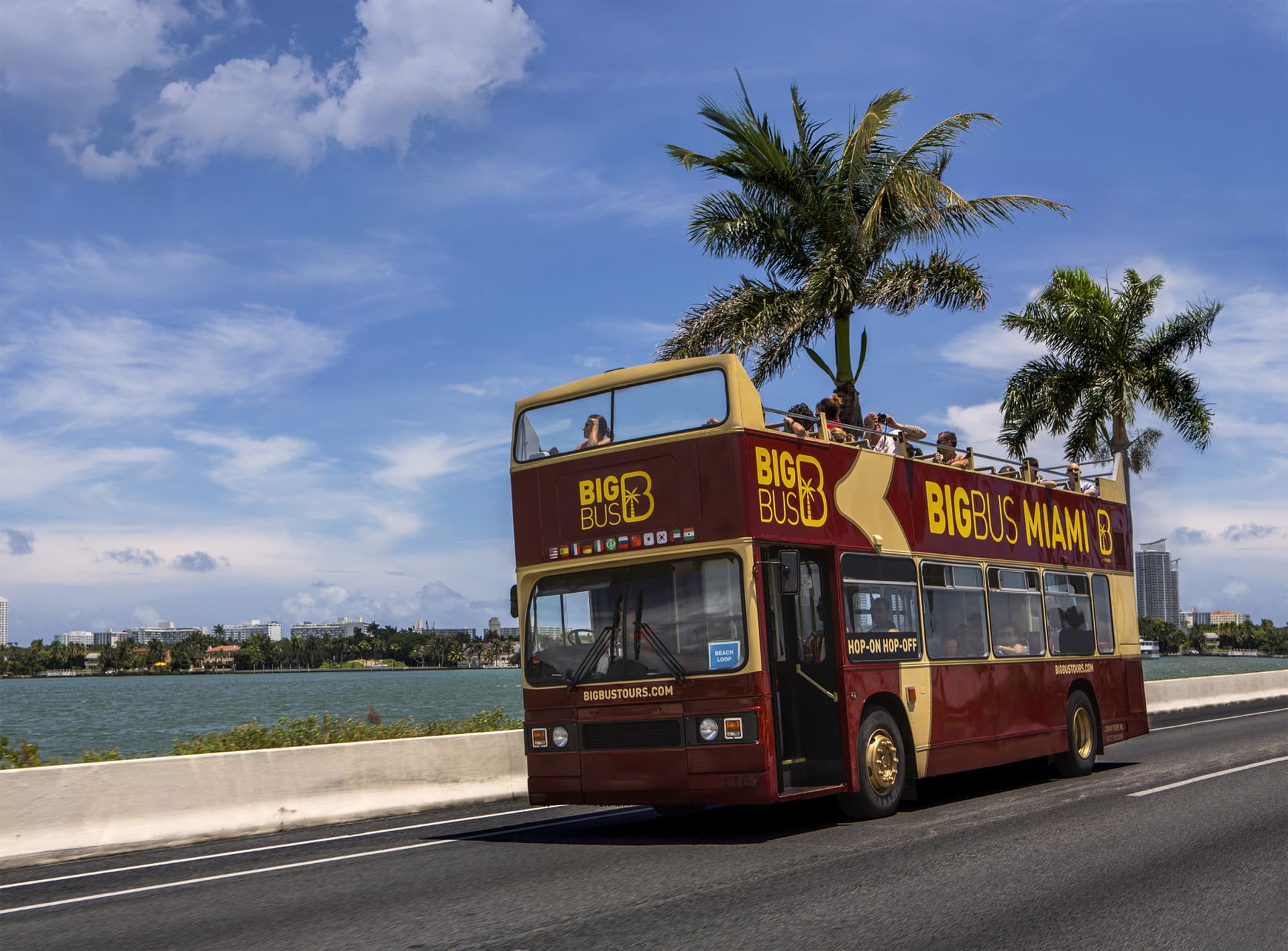 Go City Miami Explorer Pass: Save up to 50% on Attractions - تصویر 6