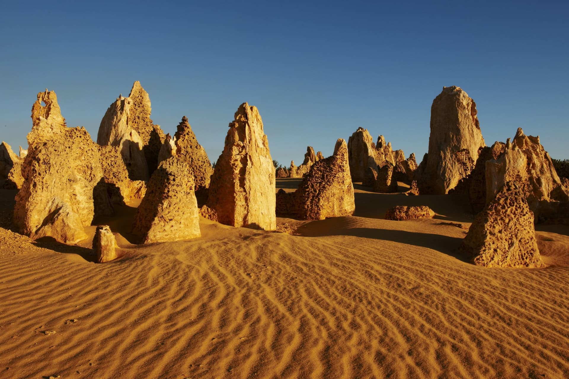 Pinnacles Desert Sunset and Stargazing Tour from Perth - تصویر 3
