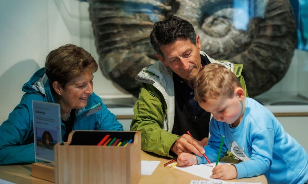 Museum of New Zealand Te Papa Tongarewa Ticket - تصویر 3