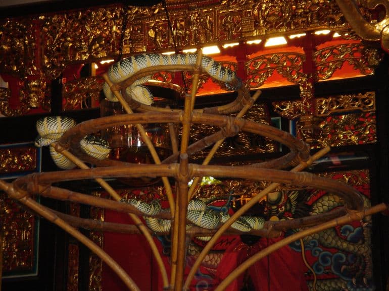 Penang Round Island Tour - تصویر 5