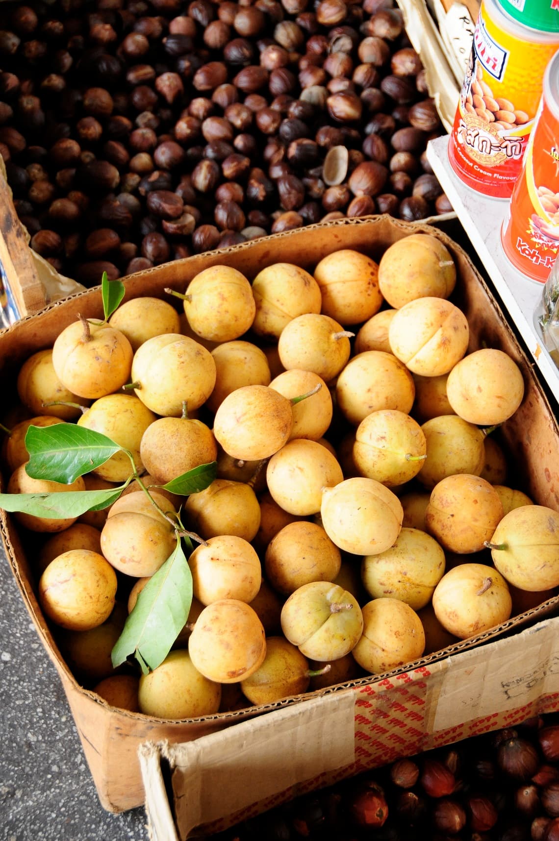 Penang Round Island Tour - تصویر 6