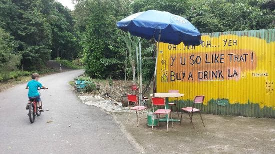 Pulau Ubin Cycling Tour - تصویر 15
