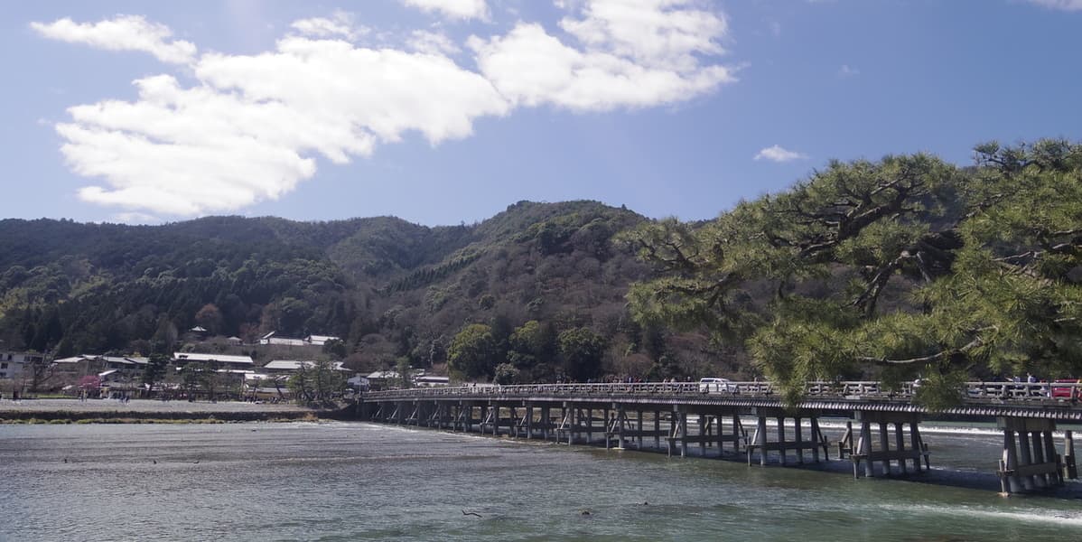 Kyoto Food and Drink Tour - Arashiyama - تصویر 8