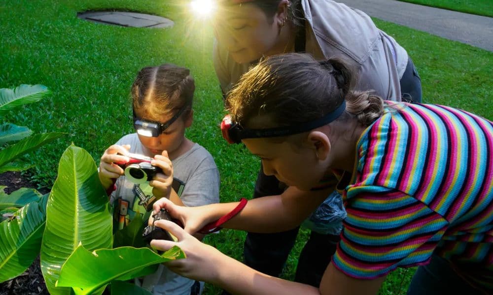 Cairns Botanic Gardens Night Walk Experience - تصویر 3