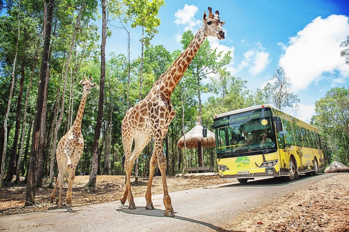 Vinpearl Safari Phu Quoc Ticket - تصویر اصلی