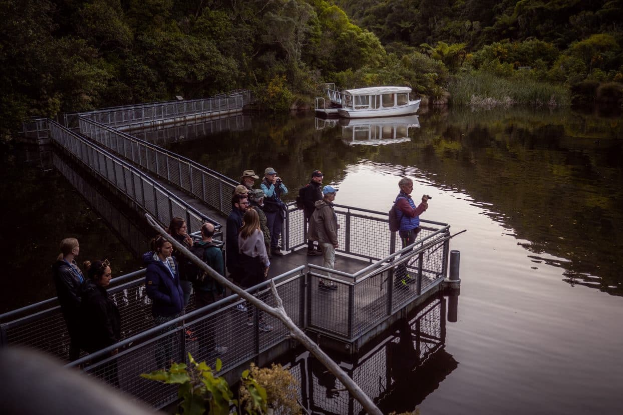Zealandia Night Tour - تصویر 6