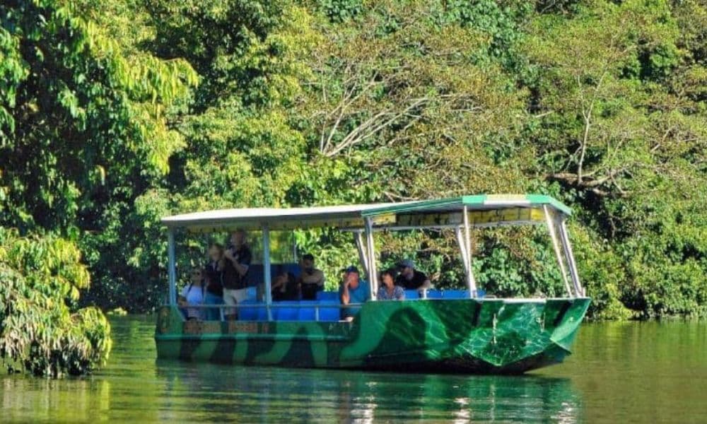 Crocodile Express Daintree Cruise from Daintree Gateway - تصویر 4