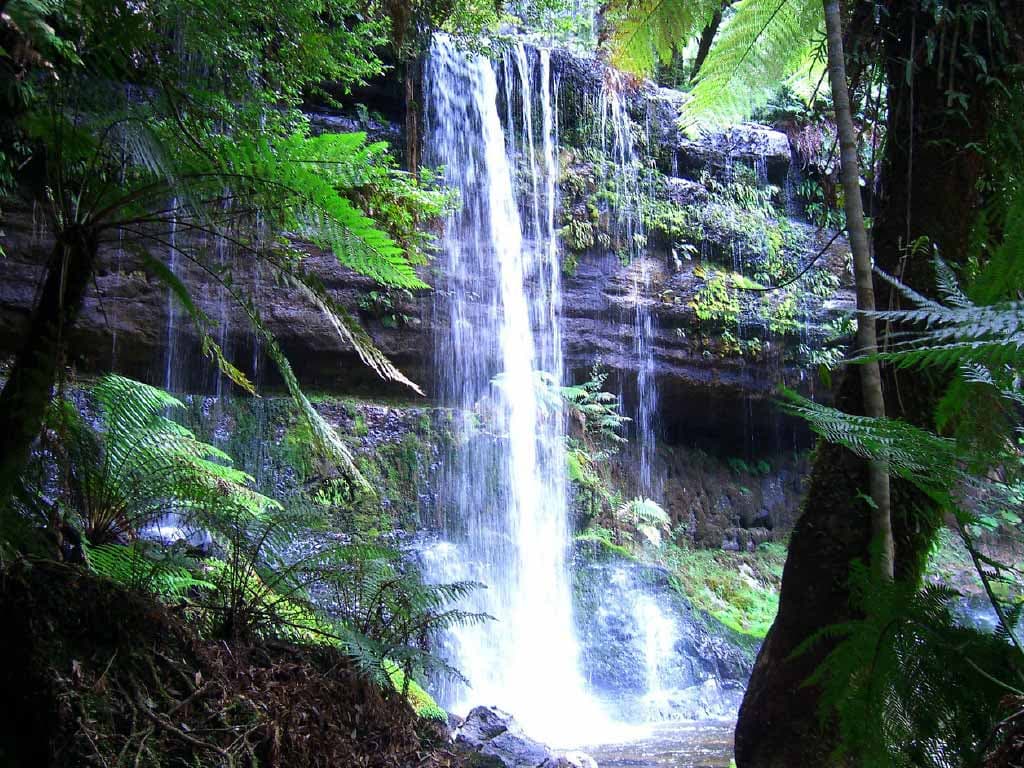 Russell Falls Tour from Hobart - تصویر 11