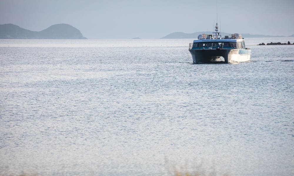 Stewart Island Ferry - Bluff to Stewart Island - تصویر 6