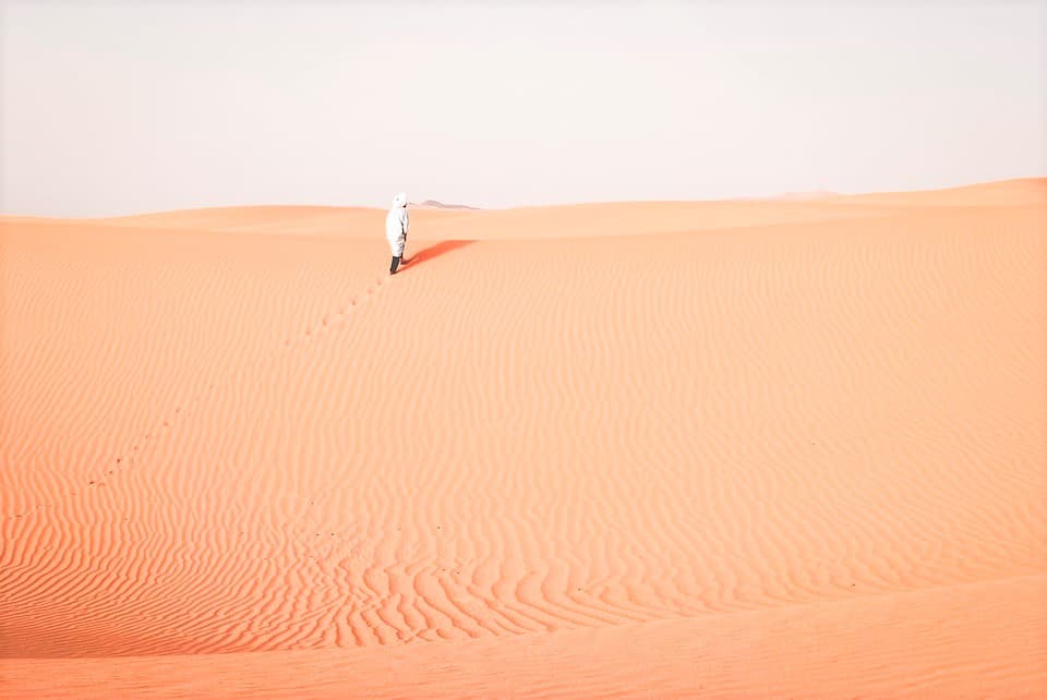 Morning Desert Safari Tour from Dubai - تصویر 3