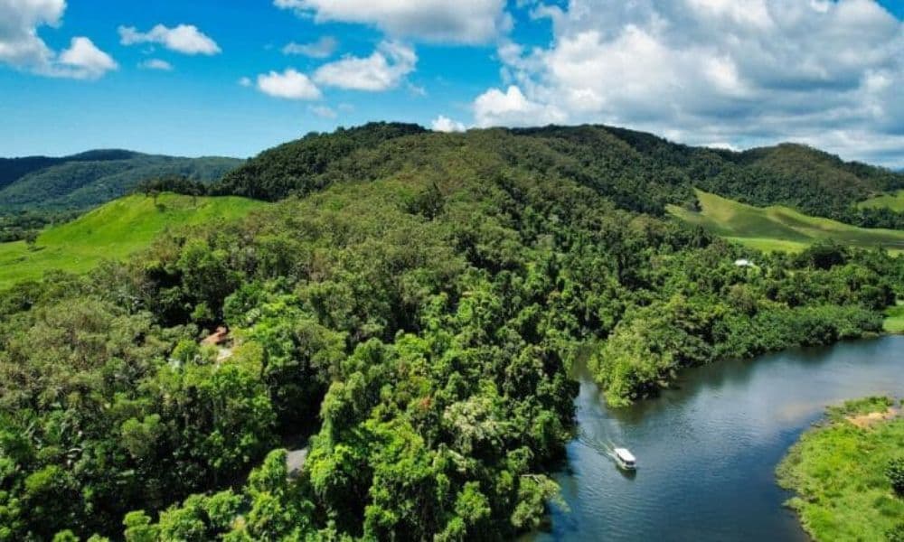 Crocodile Express Daintree Cruise from Daintree Gateway - تصویر 3