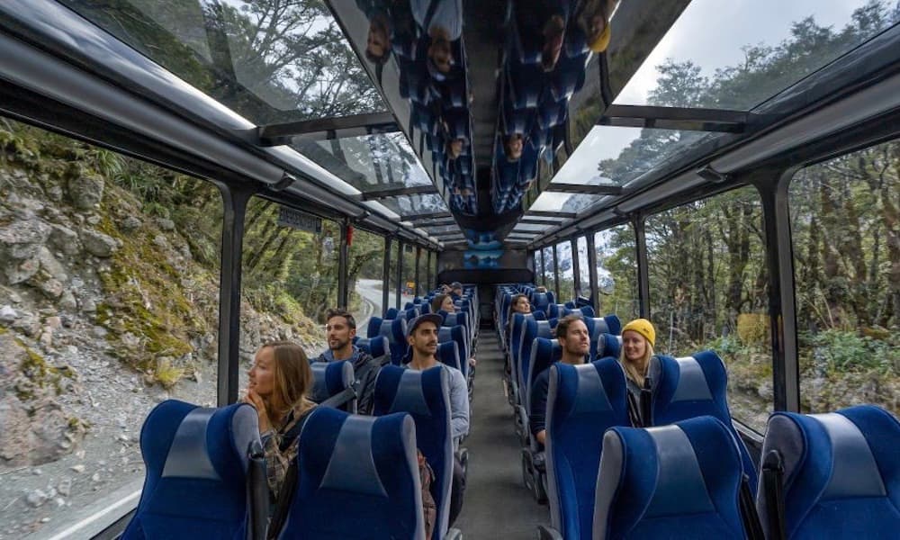 Milford Sound Coach and Cruise from Te Anau - تصویر 3