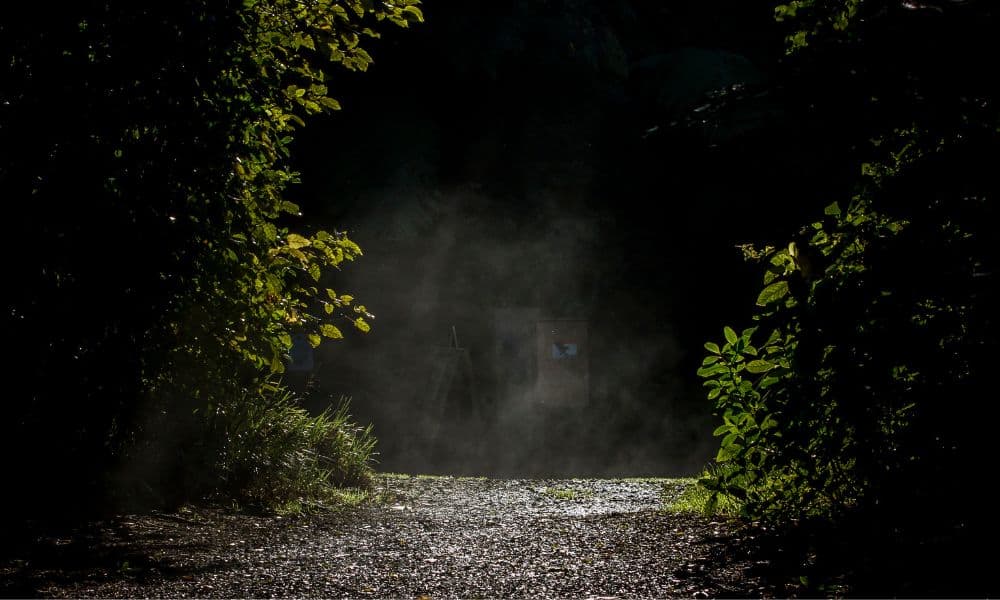Zealandia Night Tour - تصویر 2